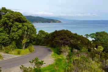 21 Blackwell Drive, Great Barrier Island