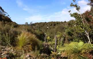 DP 3277 Brickfield Road, HOKITIKA