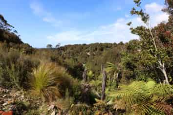 DP 3277 Brickfield Road, HOKITIKA