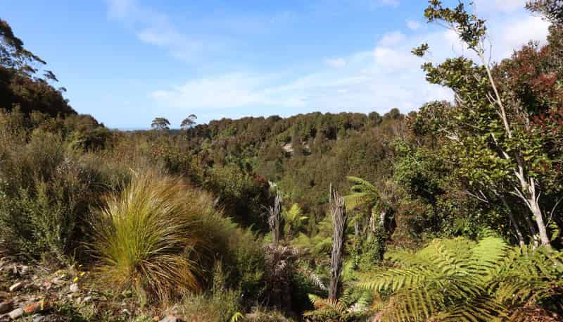 DP 3277 Brickfield Road, HOKITIKA
