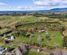 167 Willoughby Road, Katikati, Western Bay Of Plenty, Bay of Plenty