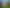 64D, 64F & Coxhead Road, Manurewa