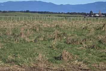  Kahutara Road, Martinborough