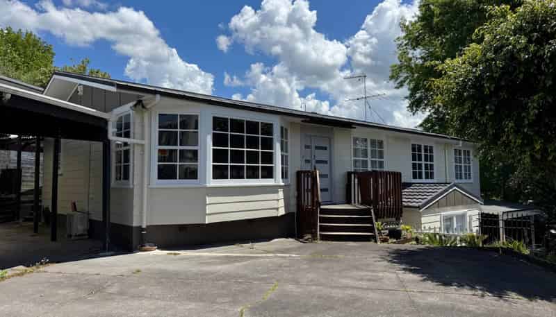 17 Hewlett Road, Massey