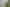  215 Russell Bruce Place, Onemana