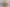 Hawkes Bay - Address withheld
