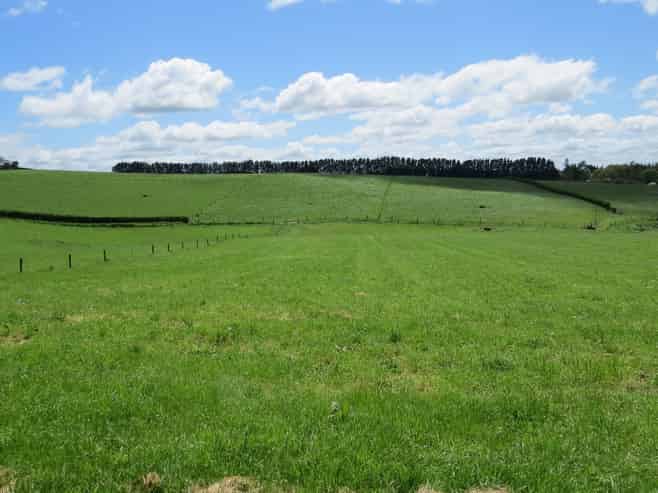 96 Ryburn Road, Ohaupo