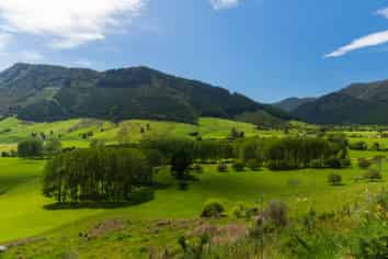 212 Ronga Road, Rai Valley