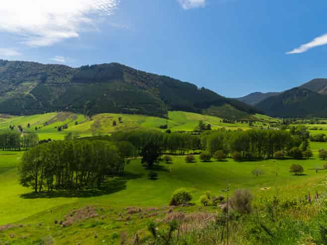 212 Ronga Road, Rai Valley