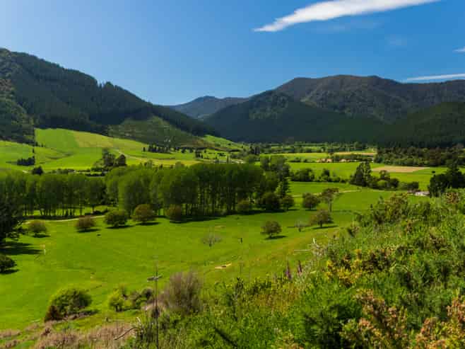 212 Ronga Road, Rai Valley
