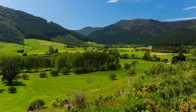 212 Ronga Road, Rai Valley