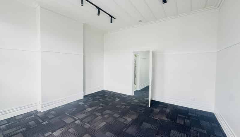 L1 | 219-2 Dominion Road, Mount Eden