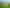 193a Whites Line East, Waiwhetu