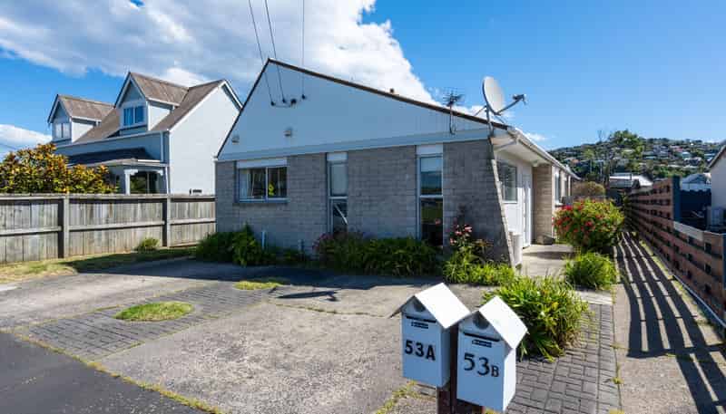 53A Helena Street, FORBURY