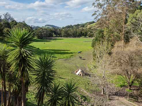 307 Whananaki North Road, Hikurangi