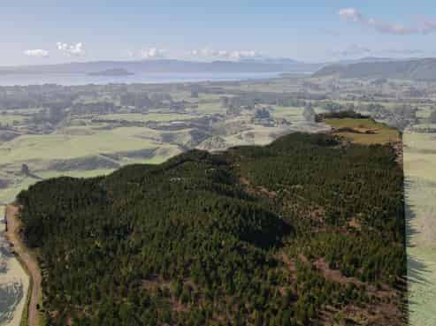 414C Dalbeth Road, Hamurana