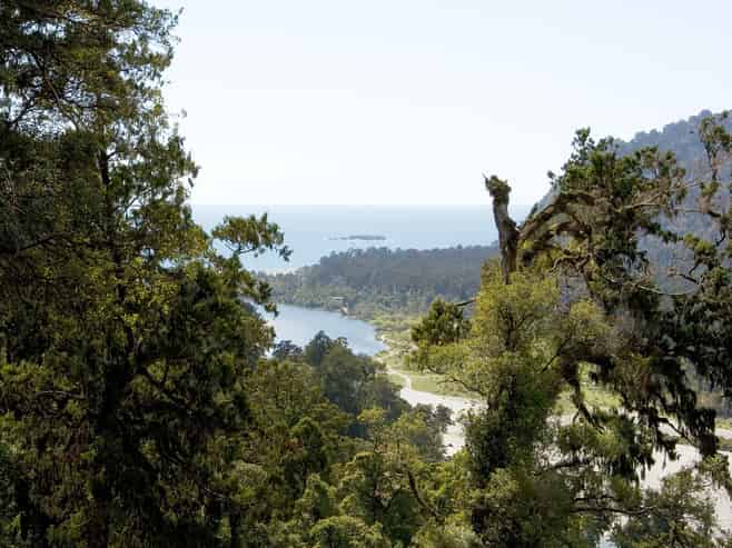 Lot 6 Paringa River Area, Bruce Bay