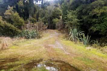 Lot 6 Paringa River Area, Bruce Bay
