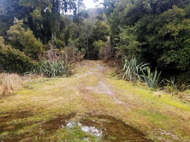 Lot 6 Paringa River Area, Bruce Bay