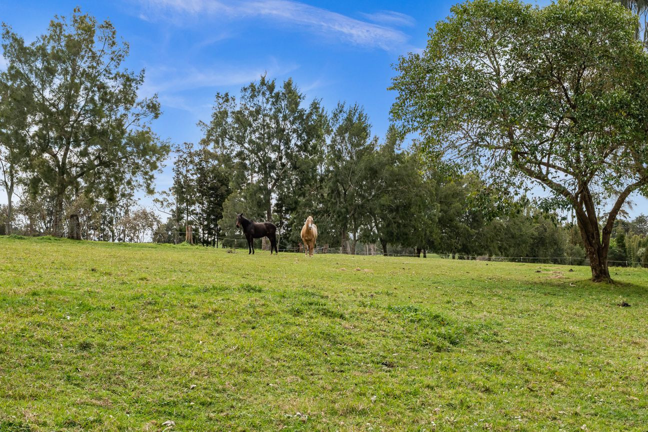 Kerikeri 4ha Lifestyle Block - Vista 3