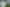 Coromandel - Address withheld