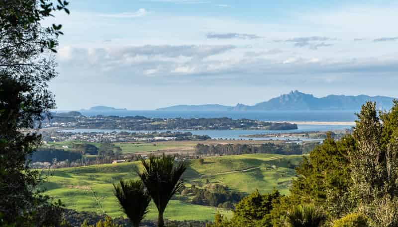 Lots 1 & 2 Carters Road West, Mangawhai