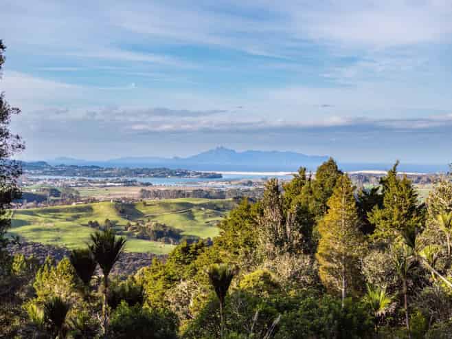 Lots 1 & 2 Carters Road West, Mangawhai