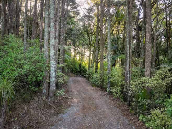 Lots 1 & 2 Carters Road West, Mangawhai