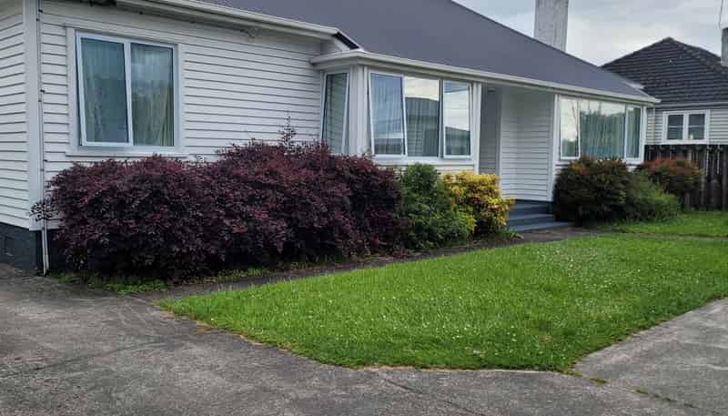 12 Bains Avenue, HAMILTON EAST
