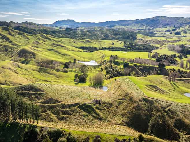 36 Kenderdine Road, Elsthorpe