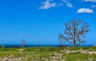 Lot 1 Gaudion Road, Peebles, OAMARU