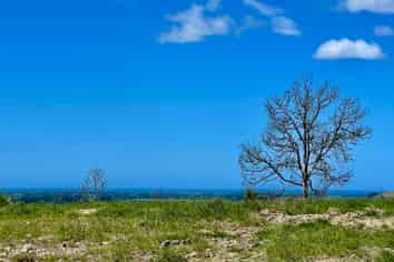 Lot 1 Gaudion Road, Peebles, OAMARU