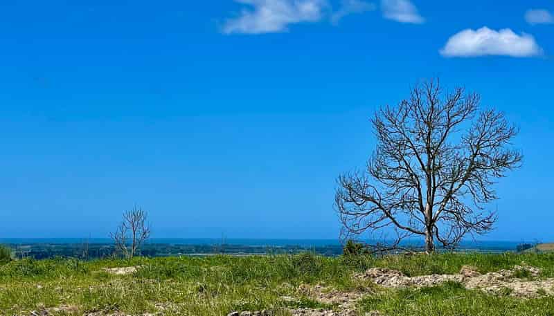Lot 1 Gaudion Road, Peebles, OAMARU
