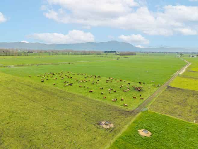 74 Otway Road, Te Aroha