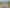 19 Millbrae Place, Pokeno