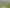 19 Millbrae Place, Pokeno