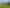 256 Page Crescent, Te Awamutu