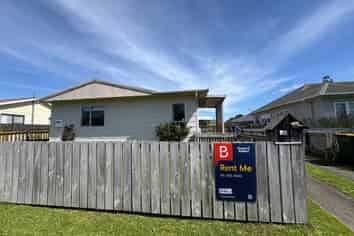 14 Guy Avenue, Levin