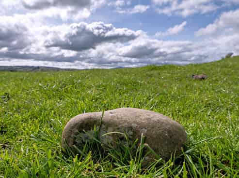 169 Addison Road, Waimana