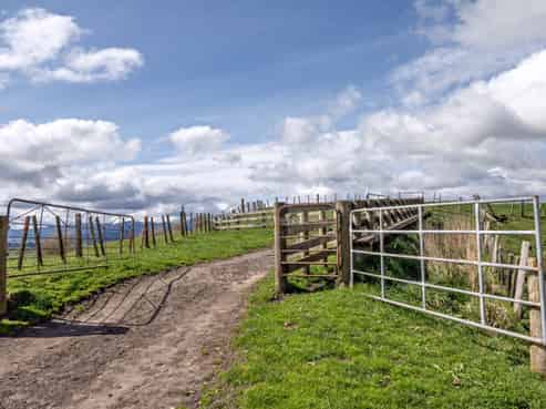 169 Addison Road, Waimana