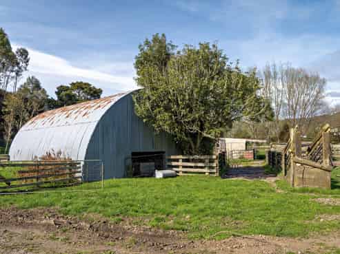 169 Addison Road, Waimana