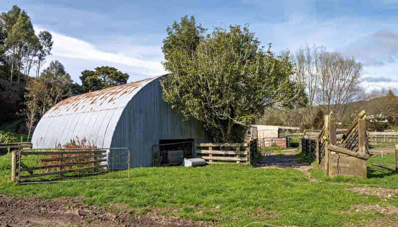 169 Addison Road, Waimana