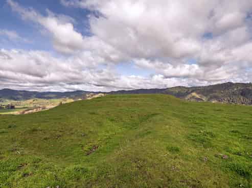 169 Addison Road, Waimana