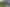 Hawkes Bay - Address withheld