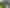 Hawkes Bay - Address withheld