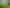 1 Aranui Place, Gore