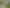 1 Aranui Place, Gore