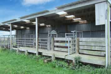 723 Papatotara Road, Tuatapere