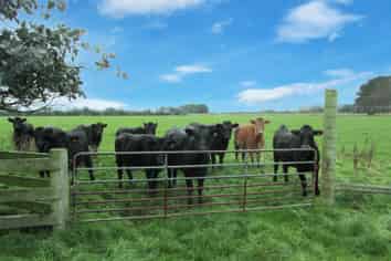 723 Papatotara Road, Tuatapere