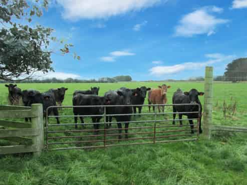 723 Papatotara Road, Tuatapere